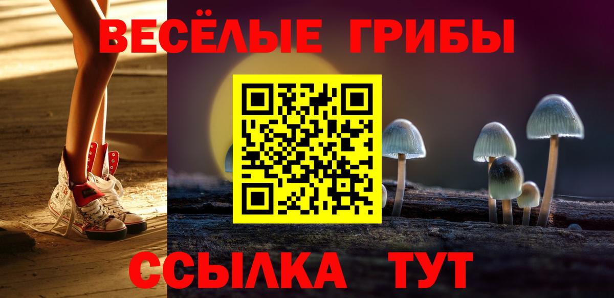 Псилоцибиновые грибы GOLDEN TEACHER  Псилоцибиновые грибы GOLDEN TEACHER  Нижний Новгород  Вход с VPN 